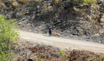 Alanya’daki orman yangınında 2’nci gün (3)