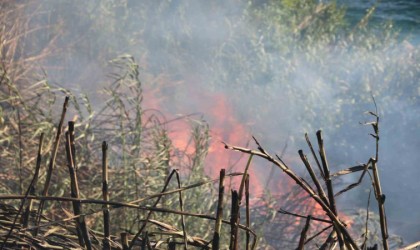 Antalyada falezlerde yangın paniği