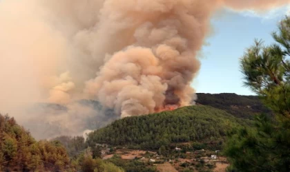 Antalya’da orman yangını / Ek fotoğraflar