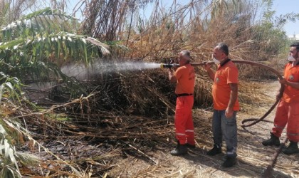 Antalyada sazlık yangınına havadan ve karadan hızlı müdahale