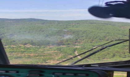 Ayvacıktaki orman yangını kontrol altına alındı