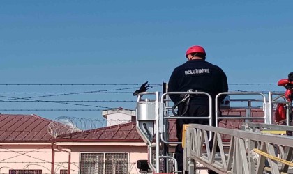 Bahçe tellerine takılan kargayı itfaiye kurtardı