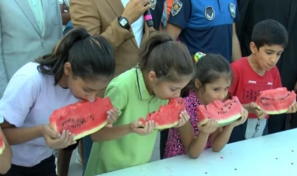 Bakan Tunç: Diyarbakır Anneleri teröre karşı net bir mesaj verdi (4)