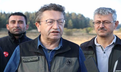 Bakan Yardımcısı Tiryaki: “Yangının ateşi söndürüldü”