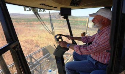 Başkan Çolakbayrakdar, ekimini yaptığı aspirin hasadını da kendisi yaptı