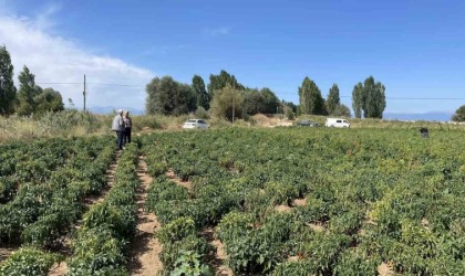 Beyşehirde çiftçiler ürün zararlılarına karşı bilgilendiriliyor