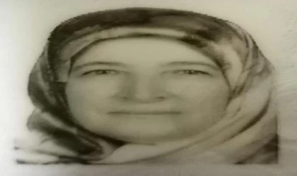 Bursa’da, arının soktuğu kadın öldü