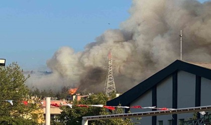 Bursada orman yangını