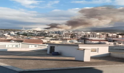 Bursa’da orman yangını