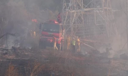 Bursa’da orman yangını (2)