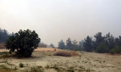 Bursa’da orman yangını/ Ek fotoğraflar