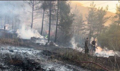 Bursadaki orman yangını kontrol altına alındı