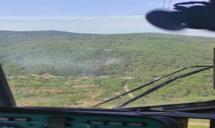 Çanakkale’de orman yangını (2)