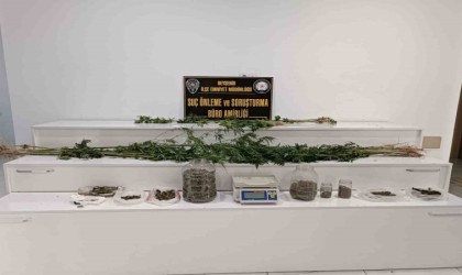 Ceviz bahçesinden uyuşturucu çıktı