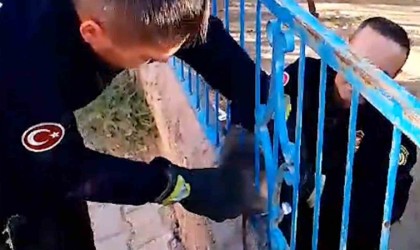Demir korkuluğa sıkışan kedi kurtarıldı