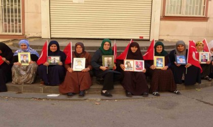 Diyarbakır annelerinin umutlu bekleyişi bin 486 gündür sürüyor