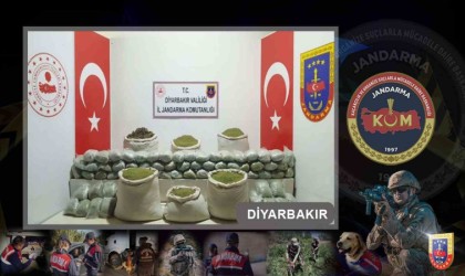 Diyarbakırda “Narkoterör Operasyonu”