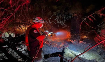Doğancılar yangını kontrol altına alındı