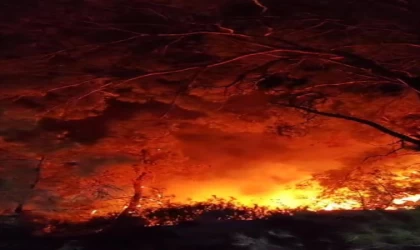 Düşen helikopterdeki 3 kişinin öldüğü Menderes’teki orman yangınında 260 hektar alan etkilendi