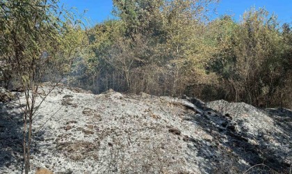Düzcede orman yangını
