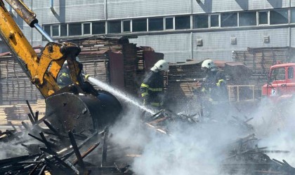 Düzcede otluk alandaki yangın fabrika bahçesine sıçradı
