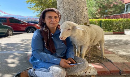Engelli çocuğu için aldığı kuzu bir an olsun peşini bırakmıyor