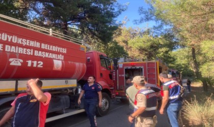 Erzinde çıkan orman yangını söndürüldü