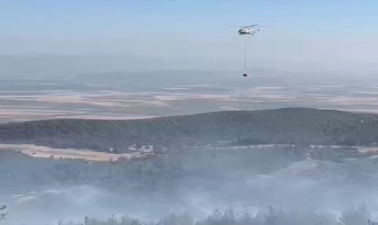 Gaziantep’te orman yangını