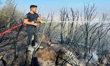 Gaziantep’te orman yangını (2)