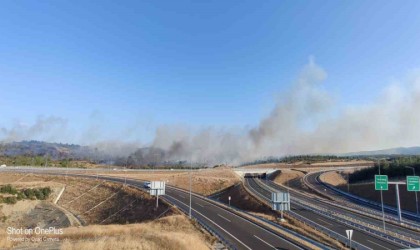 Geliboluda zirai alanda yangın çıktı