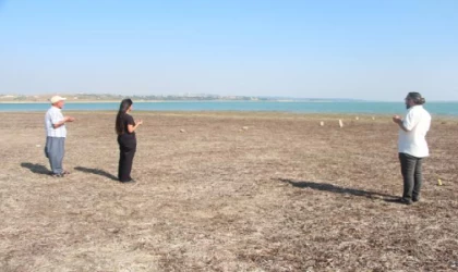 Gölün suyu çekildi, mezarlık ortaya çıktı