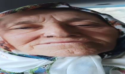 ’Goruk’ fındık tartışmasında 73 yaşındaki kadını darbettiler; 3 gözaltı