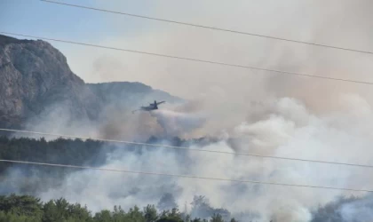İzmir Menderes’te orman yangını (2)