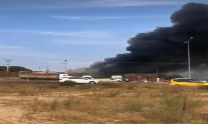İzmir’de palet fabrikasında yangın 