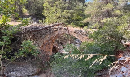 Kaderine terk edilen tarihi köprüye bakanlık sahip çıktı