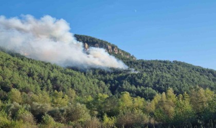 Karabükte orman yangını