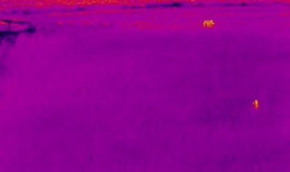 Kaybolan küçük Meryem termal kamera ile bulundu