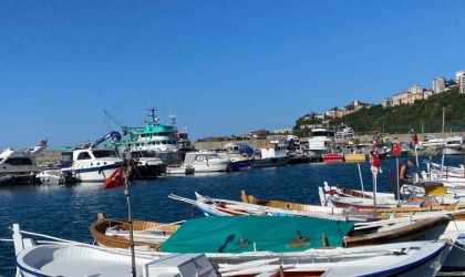 Kayhan, Halkımız 15 Ekimden sonra balığı daha ucuz yiyecek