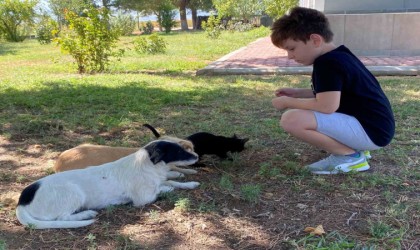 Kedi ve köpeğin örnek dostluğu