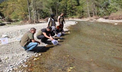 Kırmızı Benekli Alabalıklar suya salındı
