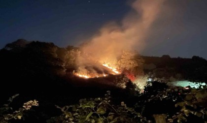 Kocaelide anız yangını: Köpek dumanların arasından kurtarıldı