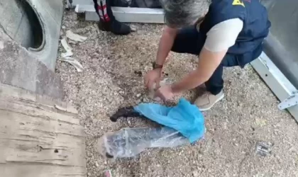 Mersin’de organize suç örgütüne şafak operasyonu: 17 gözaltı (2)