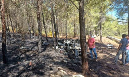 Mersindeki orman yangını büyümeden söndürüldü