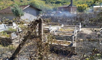 Mezarlıkta çıkan yangın söndürüldü