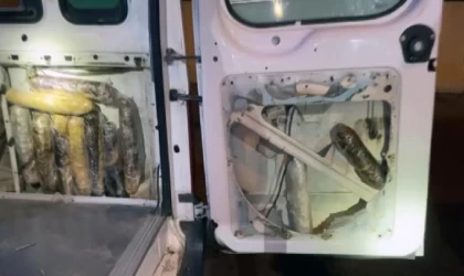 Minibüste döşemenin içindeki uyuşturucuyu ’Oscar’ buldu