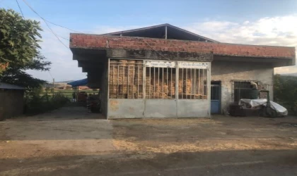 Miras kavgasında ateş ettiği kuzeni kaçınca ahırdaki 4 büyükbaşı öldürdü