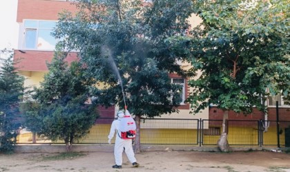 Okul bahçelerindeki ağaçlar ilaçlanıyor