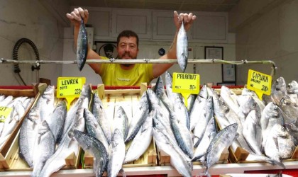 (Özel) Sezonun ilk palamutları tezgahta...Fiyatıyla yüzleri güldürdü