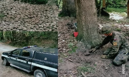 Polonya’da 2. Dünya Savaşı’ndan kalan patlamamış 1300 mühimmat ele geçirildi