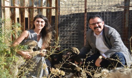Sahipsiz yavru köpeklere kaymakam ve eşi sahip çıktı